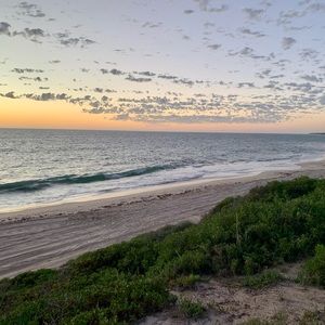 Meet your Posher, Jane